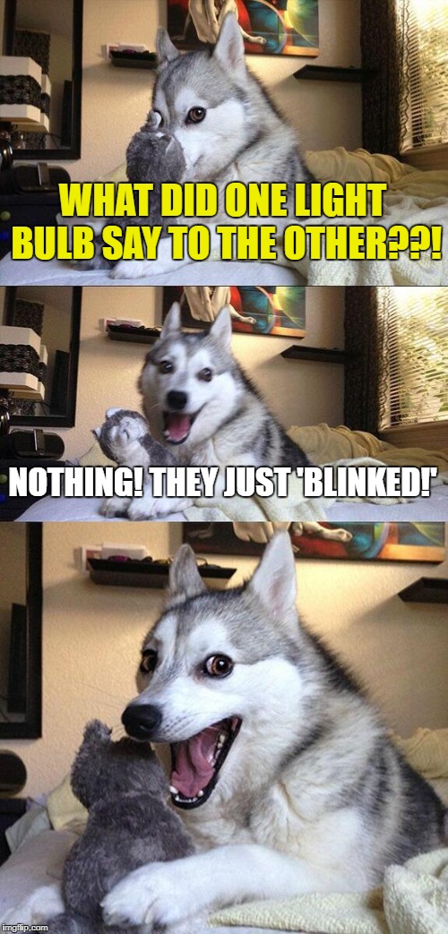 Bad Pun Dog Meme | WHAT DID ONE LIGHT BULB SAY TO THE OTHER??! NOTHING! THEY JUST 'BLINKED!' | image tagged in memes,bad pun dog | made w/ Imgflip meme maker