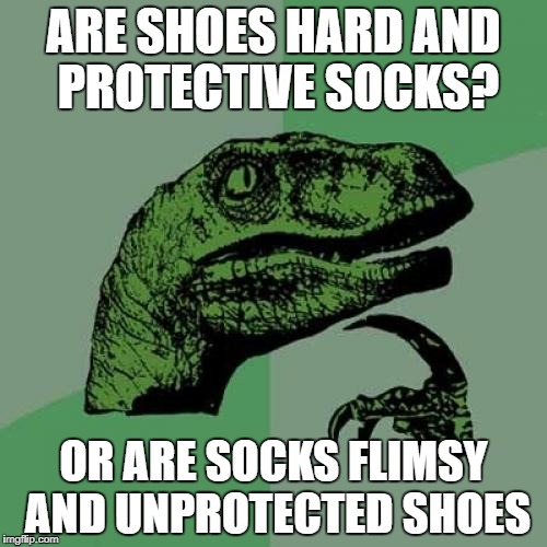 the life questions on socks and shoes | ARE SHOES HARD AND PROTECTIVE SOCKS? OR ARE SOCKS FLIMSY AND UNPROTECTED SHOES | image tagged in memes,philosoraptor,funny,shoes,socks,interesting | made w/ Imgflip meme maker