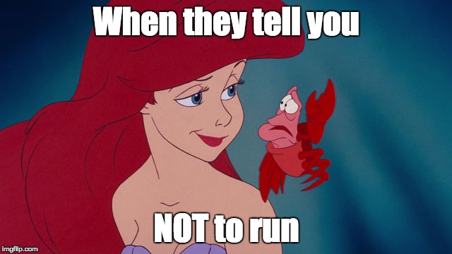 Disney running | When they tell you; NOT to run | image tagged in running | made w/ Imgflip meme maker
