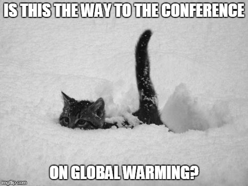 Notice they never mention global warming...I mean climate change...when it's below zero. | IS THIS THE WAY TO THE CONFERENCE; ON GLOBAL WARMING? | image tagged in snow cat,global warming,climate change,funny memes,liberal hypocrisy | made w/ Imgflip meme maker