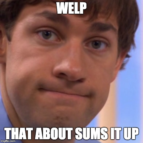 Welp Jim face | WELP; THAT ABOUT SUMS IT UP | image tagged in welp jim face | made w/ Imgflip meme maker