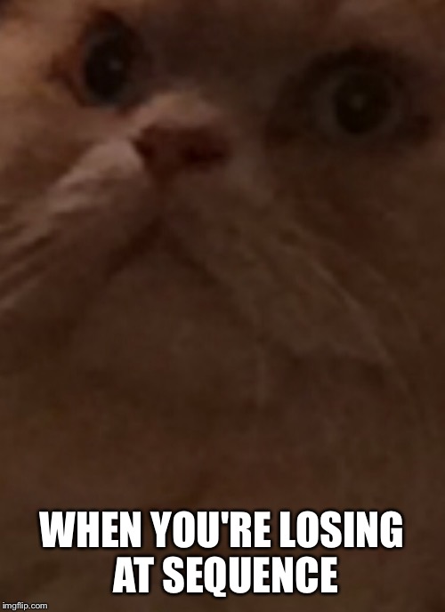 WHEN YOU'RE LOSING AT SEQUENCE | image tagged in cat,board games,soul eater,old people,competition | made w/ Imgflip meme maker