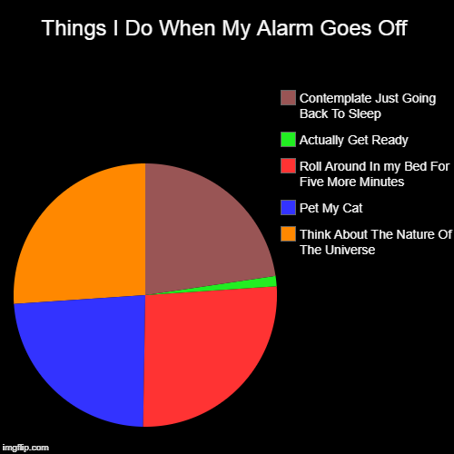 Things I Do When My Alarm Goes Off | Think About The Nature Of The Universe, Pet My Cat, Roll Around In my Bed For Five More Minutes, Actual | image tagged in funny,pie charts | made w/ Imgflip chart maker