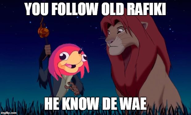 Rafiki Know De Way | YOU FOLLOW OLD RAFIKI; HE KNOW DE WAE | image tagged in rafiki know de way | made w/ Imgflip meme maker