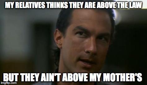Evil relatives  | MY RELATIVES THINKS THEY ARE ABOVE THE LAW; BUT THEY AIN'T ABOVE MY MOTHER'S | image tagged in memes,funny,funny memes,too funny,steven seagal | made w/ Imgflip meme maker