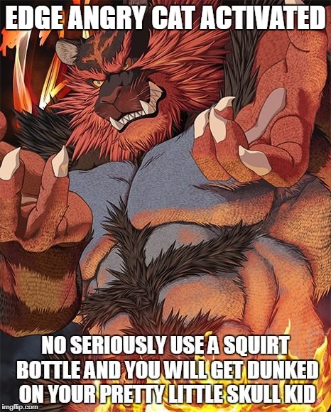 I think he's mad | EDGE ANGRY CAT ACTIVATED | image tagged in pokemon,cats,tiger,edge,oh god why | made w/ Imgflip meme maker