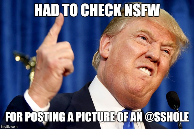 Donald Trump | HAD TO CHECK NSFW; FOR POSTING A PICTURE OF AN @SSH0LE | image tagged in donald trump | made w/ Imgflip meme maker
