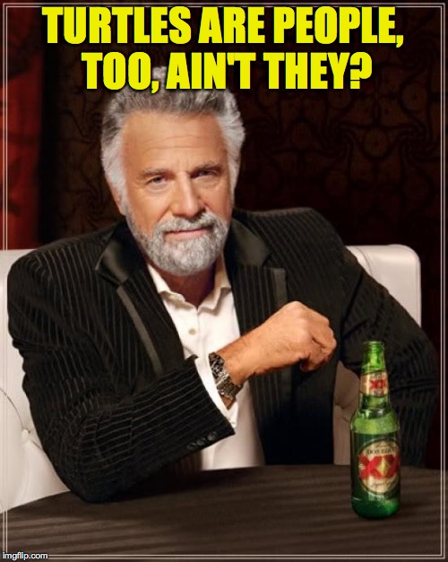The Most Interesting Man In The World Meme | TURTLES ARE PEOPLE, TOO, AIN'T THEY? | image tagged in memes,the most interesting man in the world | made w/ Imgflip meme maker