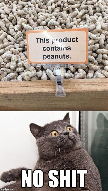 No shit! | image tagged in stupid signs,no shit,funny cat | made w/ Imgflip meme maker