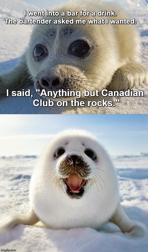 I went into a bar for a drink.   The bartender asked me what I wanted. I said, "Anything but Canadian Club on the rocks." | made w/ Imgflip meme maker