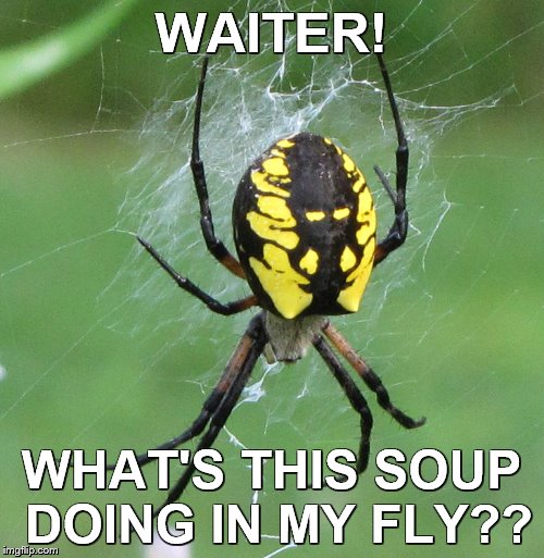 WAITER! WHAT'S THIS SOUP DOING IN MY FLY?? | made w/ Imgflip meme maker
