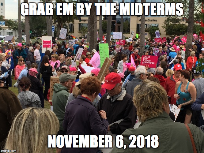 GRAB EM BY THE MIDTERMS; NOVEMBER 6, 2018 | image tagged in grabem | made w/ Imgflip meme maker