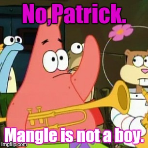 For people thinking Mangle is a boy | No,Patrick. Mangle is not a boy. | image tagged in memes,no patrick,mangle | made w/ Imgflip meme maker