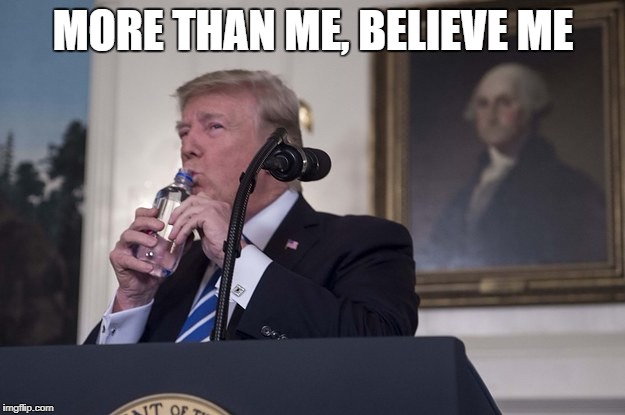 Tiny Donald | MORE THAN ME, BELIEVE ME | image tagged in tiny donald | made w/ Imgflip meme maker