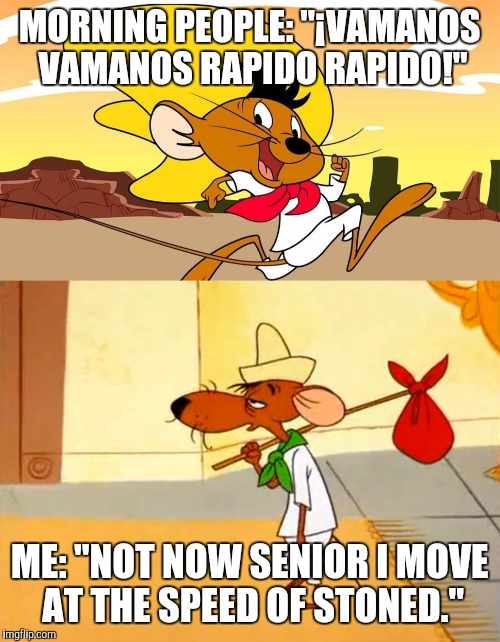 Speedy Gonzales and Slowpoke Sal |  MORNING PEOPLE: "¡VAMANOS VAMANOS RAPIDO RAPIDO!"; ME: "NOT NOW SENIOR I MOVE AT THE SPEED OF STONED." | image tagged in looney tunes,memes,stoned,tired | made w/ Imgflip meme maker