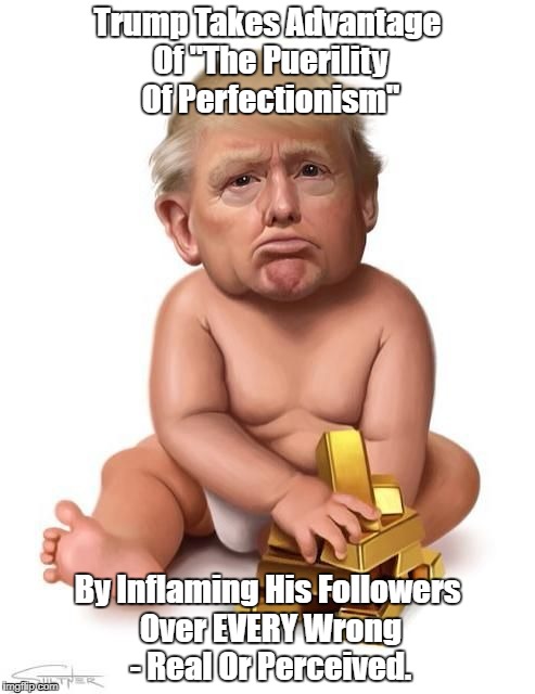 Trump Takes Advantage Of "The Puerility Of Perfectionism" By Inflaming His Followers Over EVERY Wrong - Real Or Perceived. | made w/ Imgflip meme maker