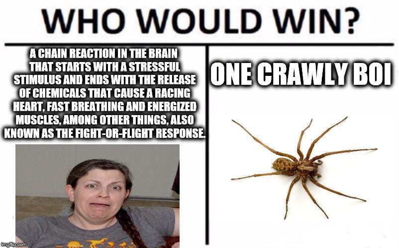 Its pretty obvious.... | A CHAIN REACTION IN THE BRAIN THAT STARTS WITH A STRESSFUL STIMULUS AND ENDS WITH THE RELEASE OF CHEMICALS THAT CAUSE A RACING HEART, FAST BREATHING AND ENERGIZED MUSCLES, AMONG OTHER THINGS, ALSO KNOWN AS THE FIGHT-OR-FLIGHT RESPONSE. ONE CRAWLY BOI | image tagged in memes,who would win | made w/ Imgflip meme maker