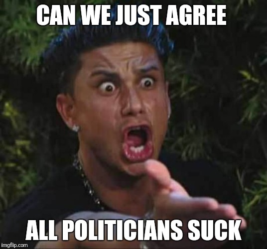 Jersey shore  | CAN WE JUST AGREE; ALL POLITICIANS SUCK | image tagged in jersey shore | made w/ Imgflip meme maker