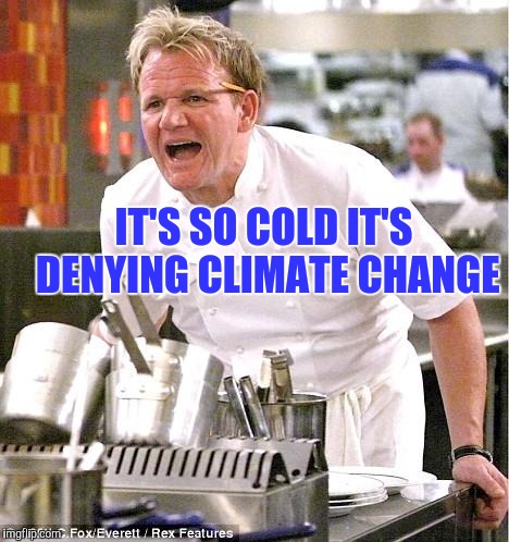 Chef Gordon Ramsay Meme | IT'S SO COLD IT'S DENYING CLIMATE CHANGE | image tagged in memes,chef gordon ramsay | made w/ Imgflip meme maker