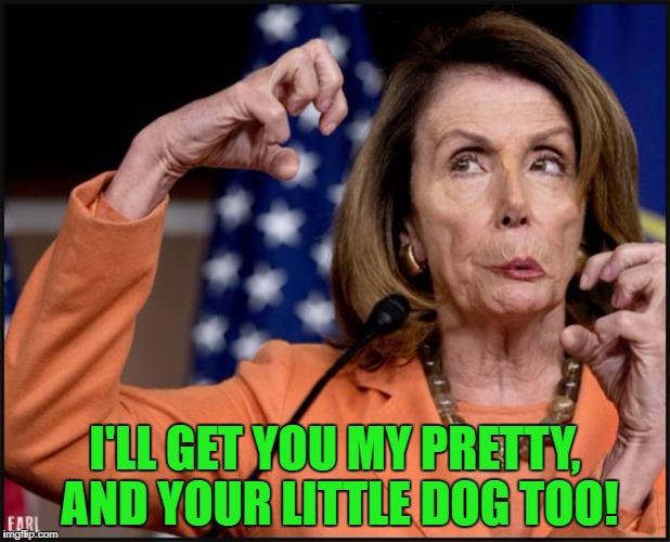 little dog | I'LL GET YOU MY PRETTY, AND YOUR LITTLE DOG TOO! | image tagged in nancy pelosi | made w/ Imgflip meme maker