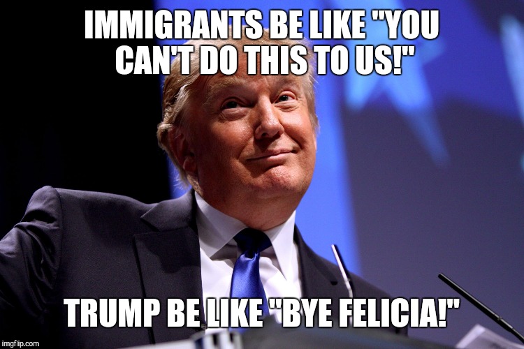 Trump be like gtfo | IMMIGRANTS BE LIKE "YOU CAN'T DO THIS TO US!"; TRUMP BE LIKE "BYE FELICIA!" | image tagged in trump,memes,bye felicia,immigrants,illegal immigrants,immigration | made w/ Imgflip meme maker