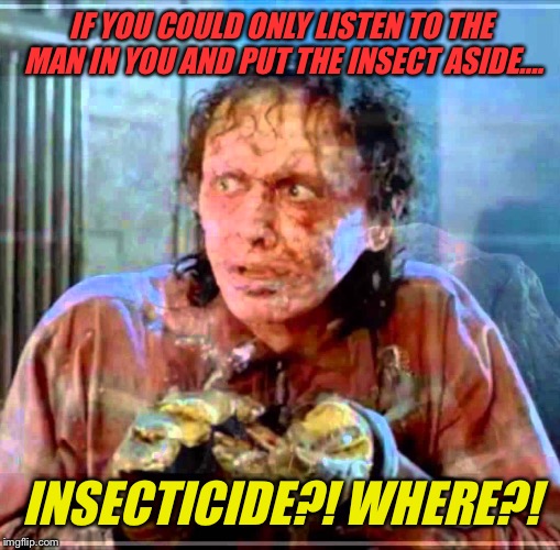 IF YOU COULD ONLY LISTEN TO THE MAN IN YOU AND PUT THE INSECT ASIDE…. INSECTICIDE?! WHERE?! | made w/ Imgflip meme maker