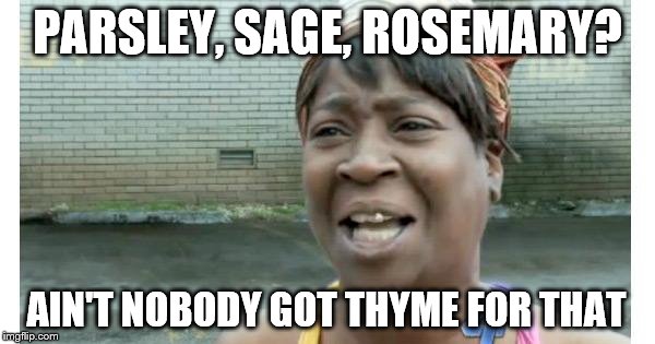 ain't nobody got time for that | PARSLEY, SAGE, ROSEMARY? AIN'T NOBODY GOT THYME FOR THAT | image tagged in ain't nobody got time for that | made w/ Imgflip meme maker