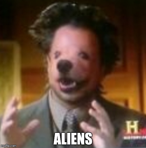 Doggo | ALIENS | image tagged in ancient aliens guy,dog,doggo | made w/ Imgflip meme maker