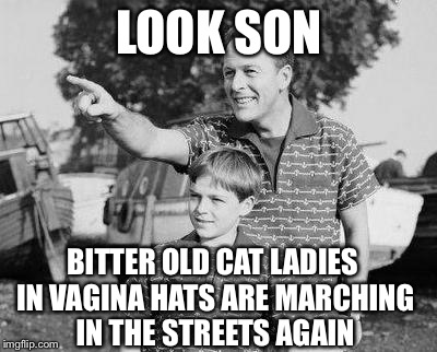 Look Son Meme | LOOK SON; BITTER OLD CAT LADIES IN VAGINA HATS ARE MARCHING IN THE STREETS AGAIN | image tagged in memes,look son,womens march,libtards,vagina hats | made w/ Imgflip meme maker