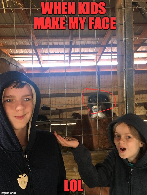 Llama Face | WHEN KIDS MAKE MY FACE; LOL | image tagged in llama power | made w/ Imgflip meme maker