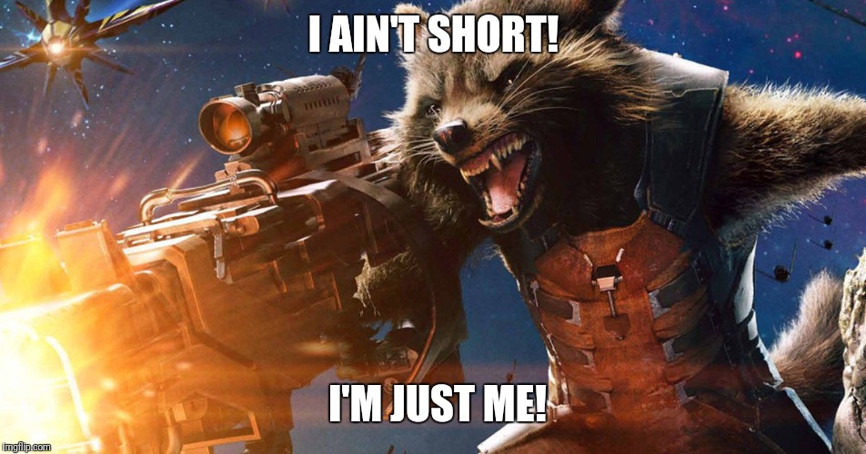 Rocket Raccoon | I AIN'T SHORT! I'M JUST ME! | image tagged in rocket raccoon | made w/ Imgflip meme maker