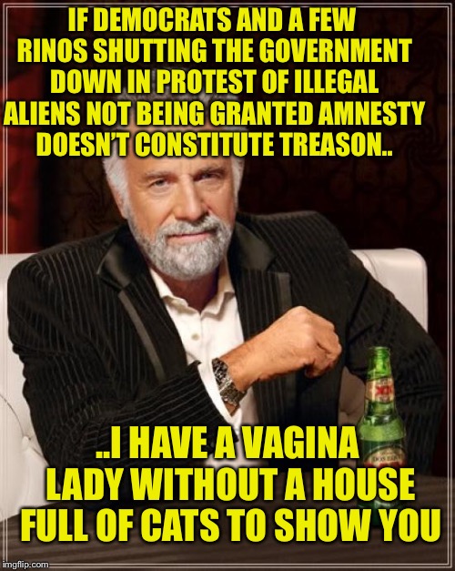 The Most Interesting Man In The World Meme | IF DEMOCRATS AND A FEW RINOS SHUTTING THE GOVERNMENT DOWN IN PROTEST OF ILLEGAL ALIENS NOT BEING GRANTED AMNESTY DOESN’T CONSTITUTE TREASON.. ..I HAVE A VAGINA LADY WITHOUT A HOUSE FULL OF CATS TO SHOW YOU | image tagged in memes,the most interesting man in the world,vagina woman,daca,democratic party,treason | made w/ Imgflip meme maker