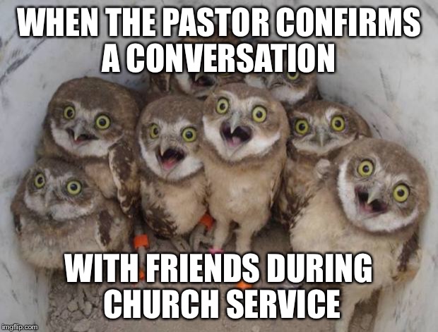 surprised ownls | WHEN THE PASTOR CONFIRMS A CONVERSATION; WITH FRIENDS DURING CHURCH SERVICE | image tagged in surprised ownls | made w/ Imgflip meme maker