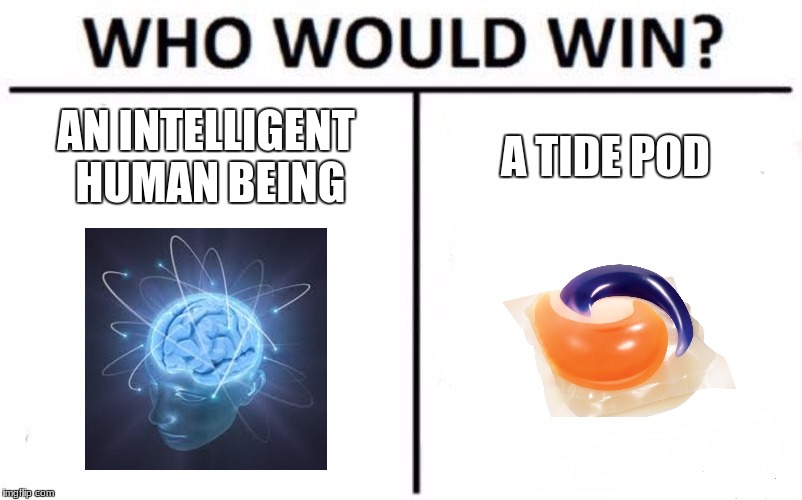 Who Would Win? | AN INTELLIGENT HUMAN BEING; A TIDE POD | image tagged in memes,who would win | made w/ Imgflip meme maker