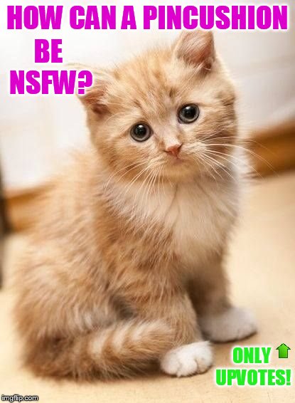 HOW CAN A PINCUSHION ONLY UPVOTES! BE NSFW? | made w/ Imgflip meme maker