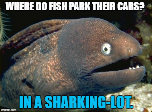 Bad Joke Eel | WHERE DO FISH PARK THEIR CARS? IN A SHARKING-LOT. | image tagged in memes,bad joke eel | made w/ Imgflip meme maker