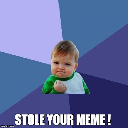 Success Kid Meme | STOLE YOUR MEME ! | image tagged in memes,success kid | made w/ Imgflip meme maker