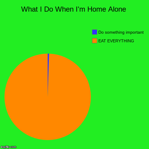 What I Do When I'm Home Alone | EAT EVERYTHING, Do something important | image tagged in funny,pie charts | made w/ Imgflip chart maker