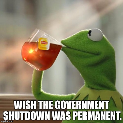 But That's None Of My Business Meme | WISH THE GOVERNMENT SHUTDOWN WAS PERMANENT. | image tagged in memes,but thats none of my business,kermit the frog | made w/ Imgflip meme maker