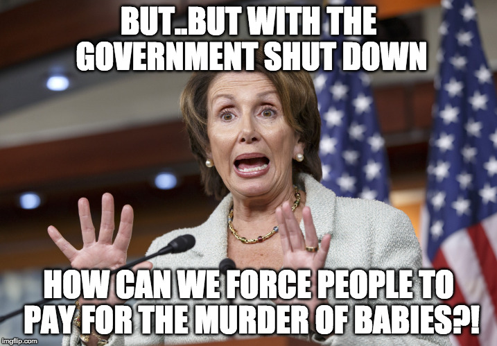 Government Shutdown: Day Who Cares | BUT..BUT WITH THE GOVERNMENT SHUT DOWN; HOW CAN WE FORCE PEOPLE TO PAY FOR THE MURDER OF BABIES?! | image tagged in nancy pelosi wtf,who cares,government shutdown,abortion | made w/ Imgflip meme maker
