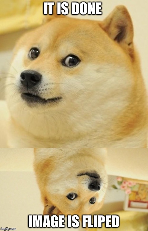 Image fliped | IT IS DONE; IMAGE IS FLIPED | image tagged in doge,puns | made w/ Imgflip meme maker