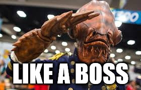 Like a Boss | LIKE A BOSS | image tagged in like a boss,like a sir | made w/ Imgflip meme maker
