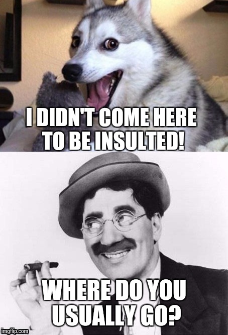 I DIDN'T COME HERE TO BE INSULTED! WHERE DO YOU USUALLY GO? | image tagged in bad pun dog and groucho | made w/ Imgflip meme maker