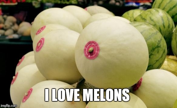 I LOVE MELONS | made w/ Imgflip meme maker