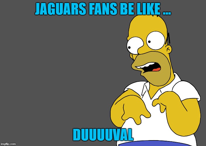JAGUARS FANS BE LIKE ... DUUUUVAL | image tagged in jacksonville jaguars,nfl memes | made w/ Imgflip meme maker