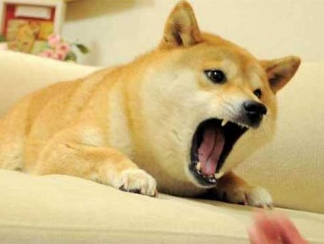 Doge Smash Bros Blank Meme Template