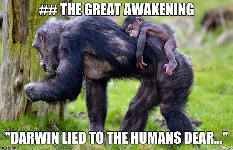 ## THE GREAT AWAKENING; "DARWIN LIED TO THE HUMANS DEAR..." | image tagged in the great awakening | made w/ Imgflip meme maker