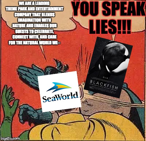 Blackfish Slapping SeaWorld | . | image tagged in seaworld,batman slapping robin,memes,so true memes,funny,tilikum | made w/ Imgflip meme maker