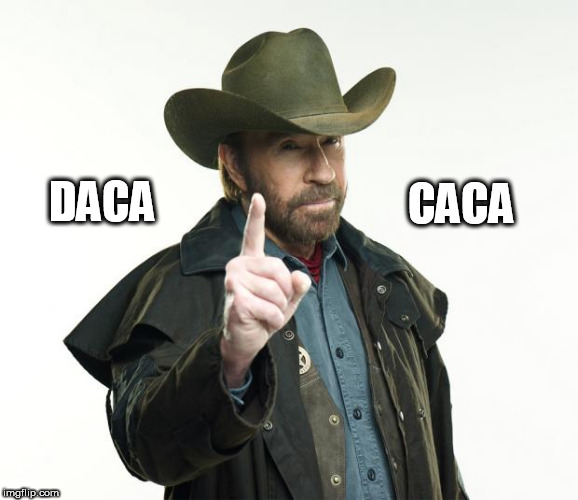 Chuck Norris 
DACA CACA | CACA; DACA | image tagged in memes,chuck norris finger,chuck norris,daca,caca,maga | made w/ Imgflip meme maker
