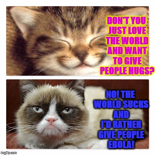 DON'T YOU JUST LOVE THE WORLD AND WANT TO GIVE PEOPLE HUGS? NO! THE WORLD SUCKS AND I'D RATHER GIVE PEOPLE EBOLA! | image tagged in grumpy vs happy | made w/ Imgflip meme maker